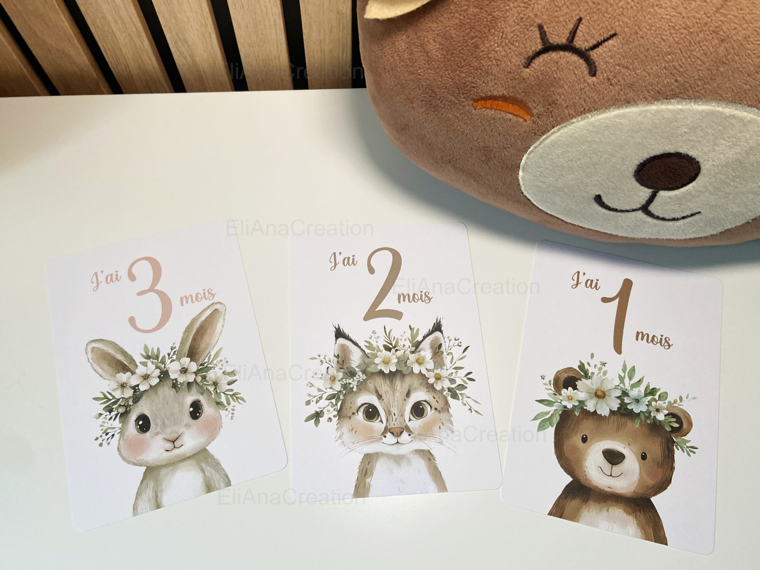 Cartes-étapes-animaux-printemps