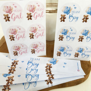 Confiserie - Thème Ourson Baby Shower Rose et Bleu