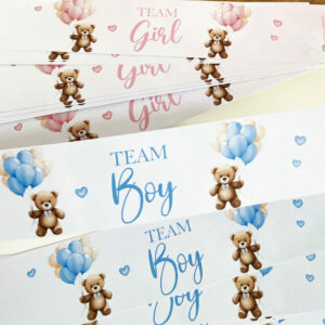 Confiserie - Thème Ourson Baby Shower Rose et Bleu