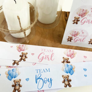 Confiserie - Thème Ourson Baby Shower Rose et Bleu