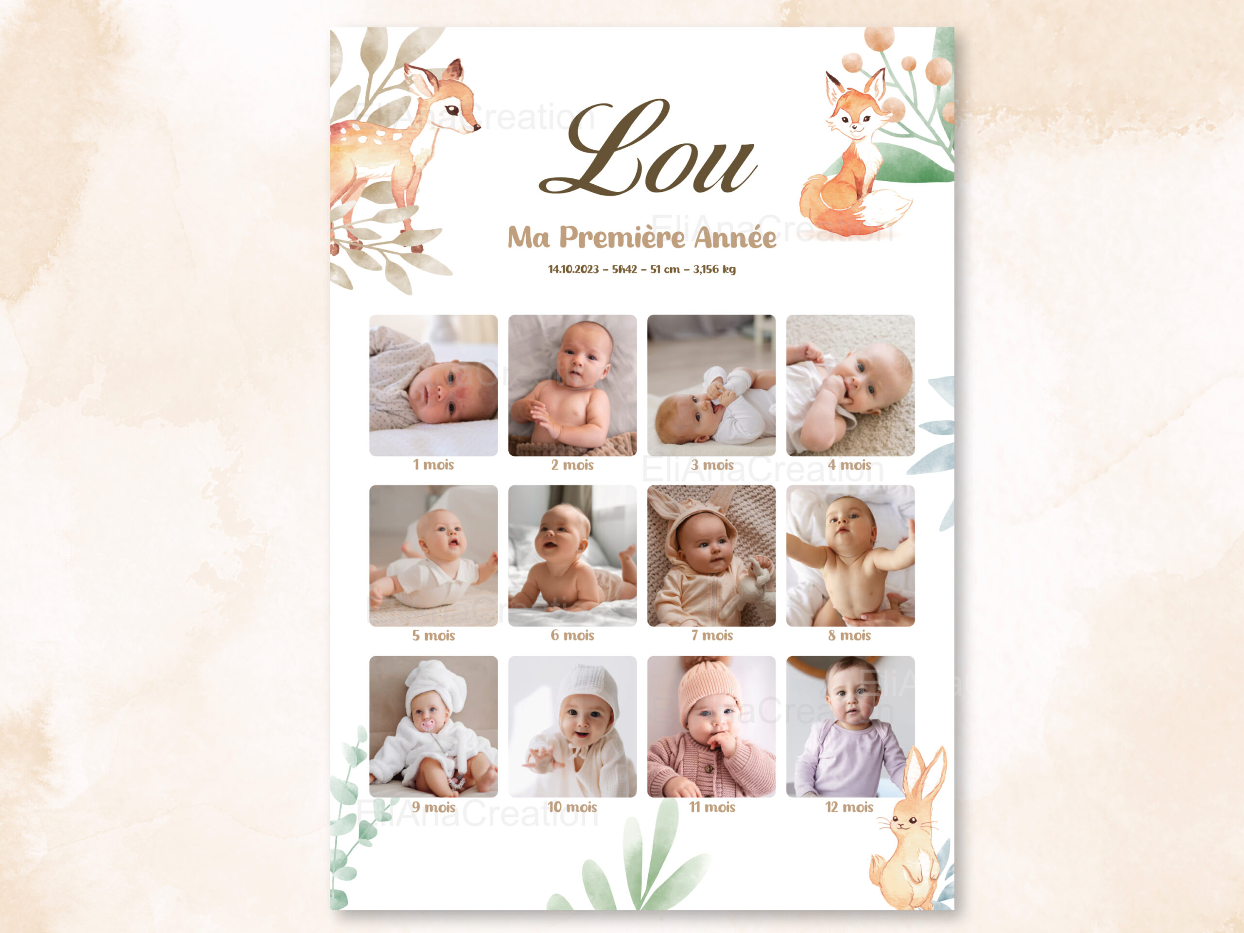 Affiche Ma Première Année Animaux de la Forêt