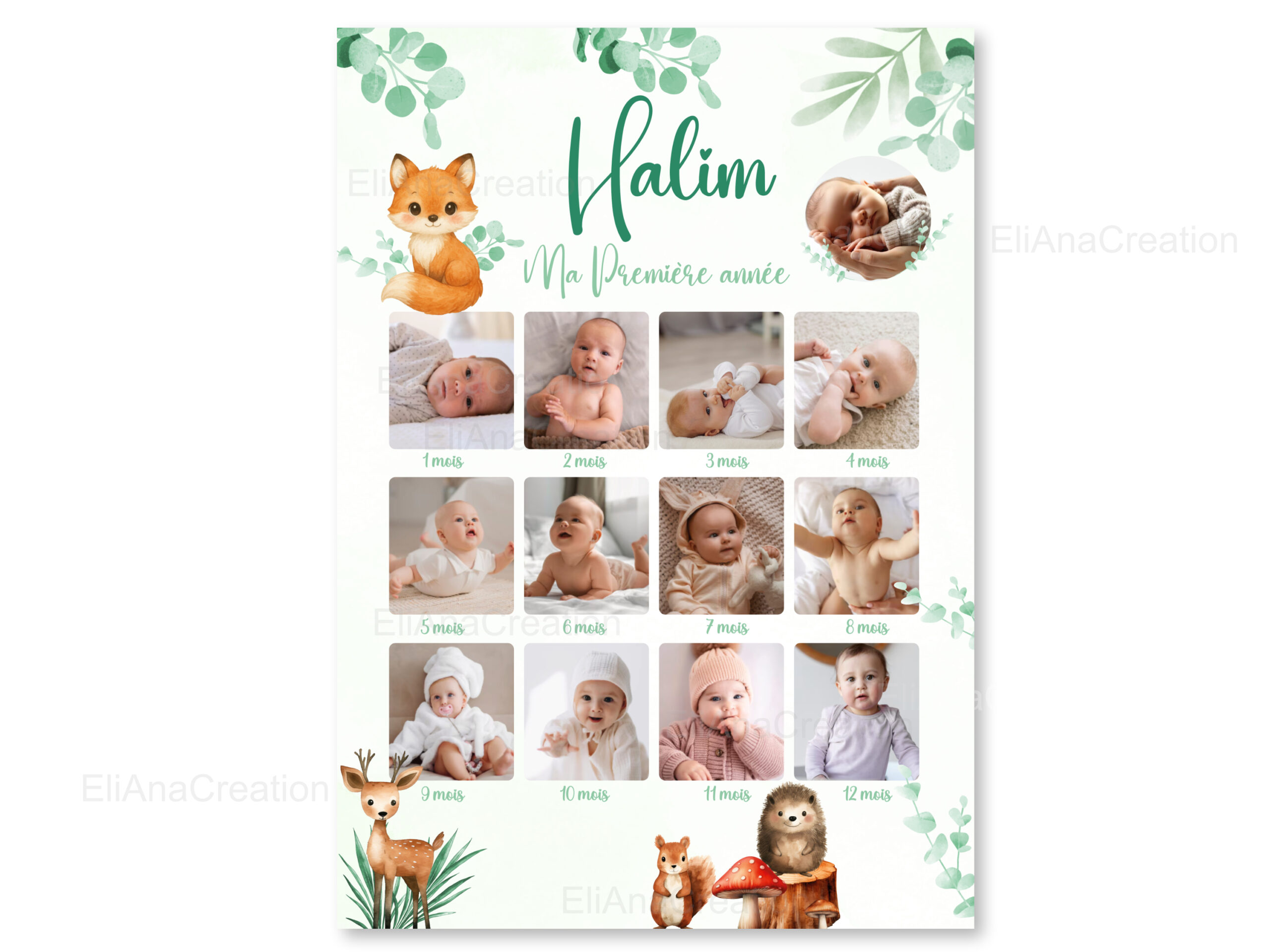 Affiche Ma Première Année Renard & Animaux de la Forêt