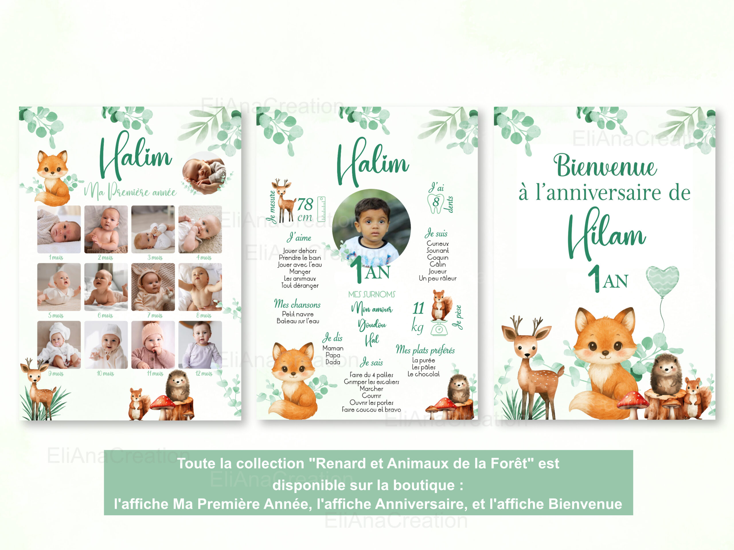 Affiche Renard & Animaux de la Forêt