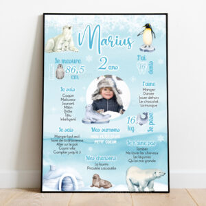 Affiche anniversaire - Thème Banquise