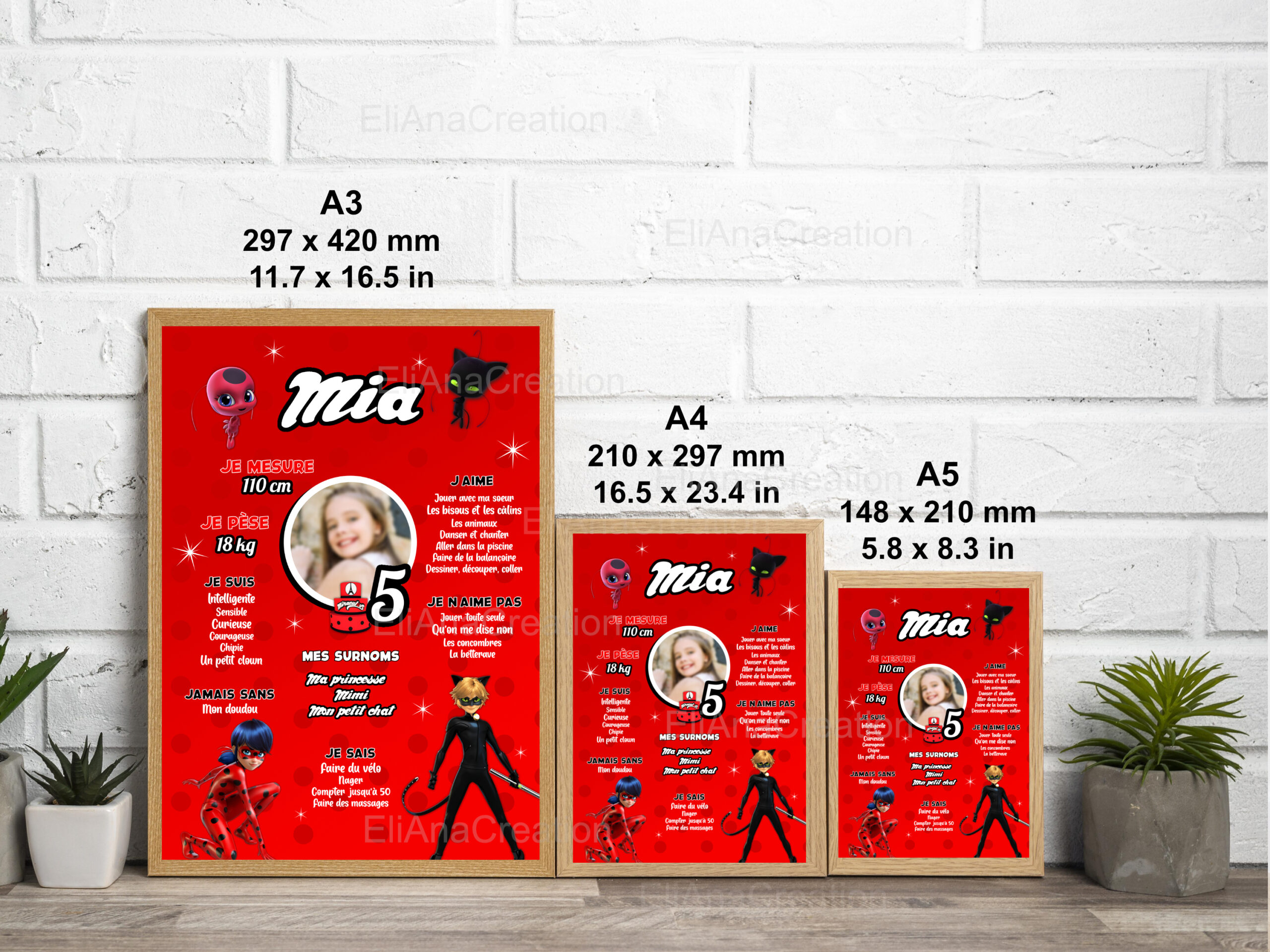 Affiche anniversaire - Thème Miraculous