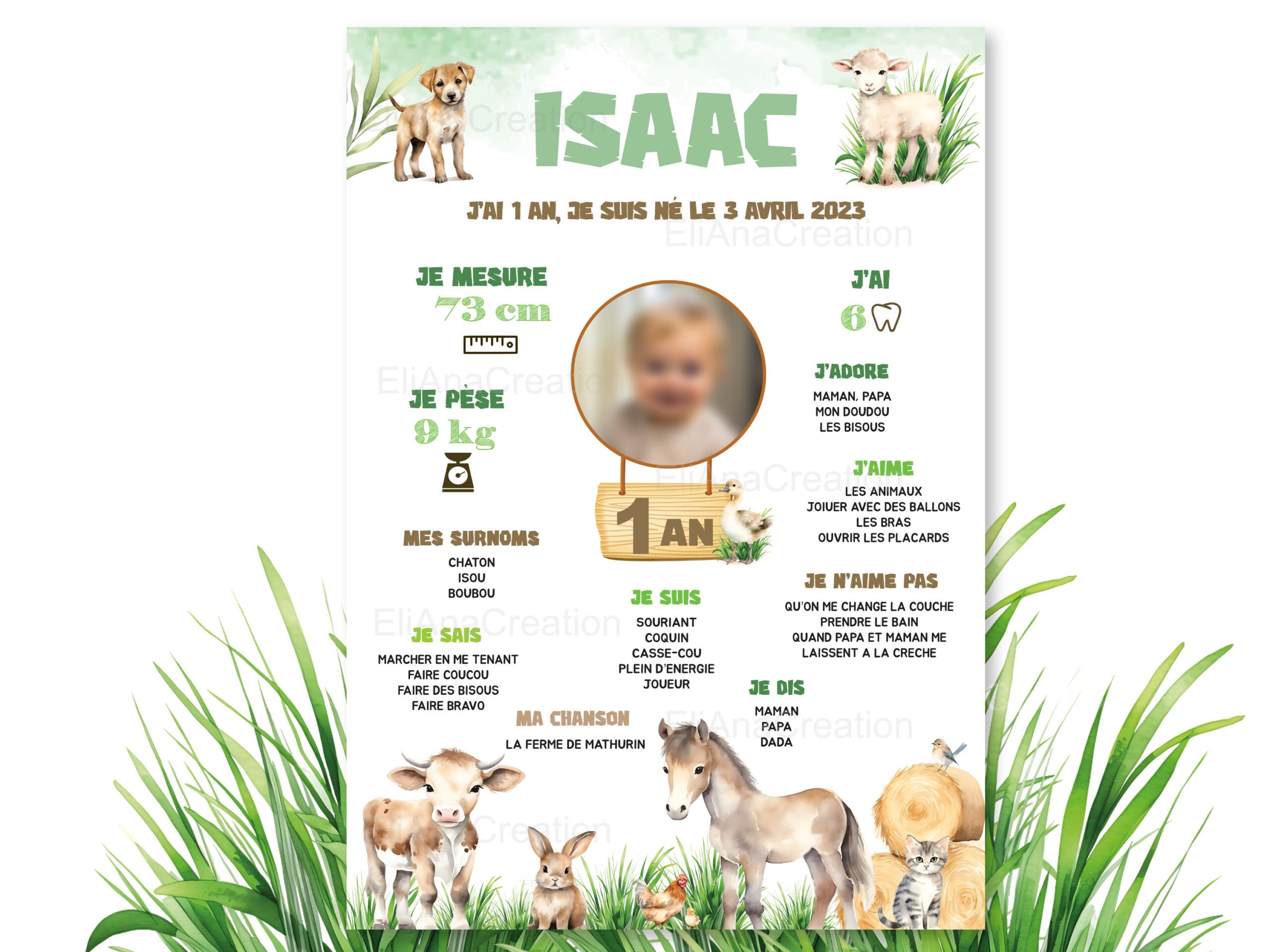 Affiche anniversaire - Thème Ferme