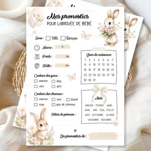 Carte pronostics Baby Shower - Thème Lapin & Vichy